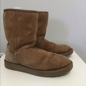 Chestnut Uggs